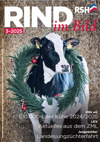 Die aktuelle Rind in Bild (03/2025)