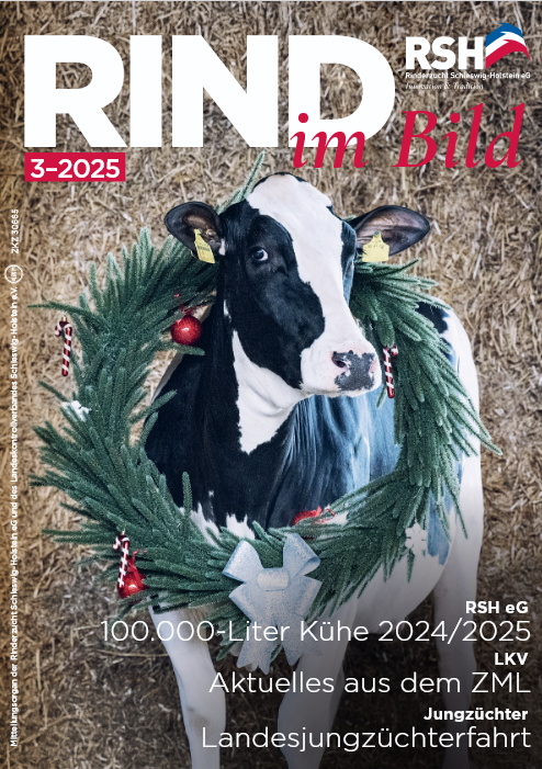 Die aktuelle Rind in Bild (03/2025)