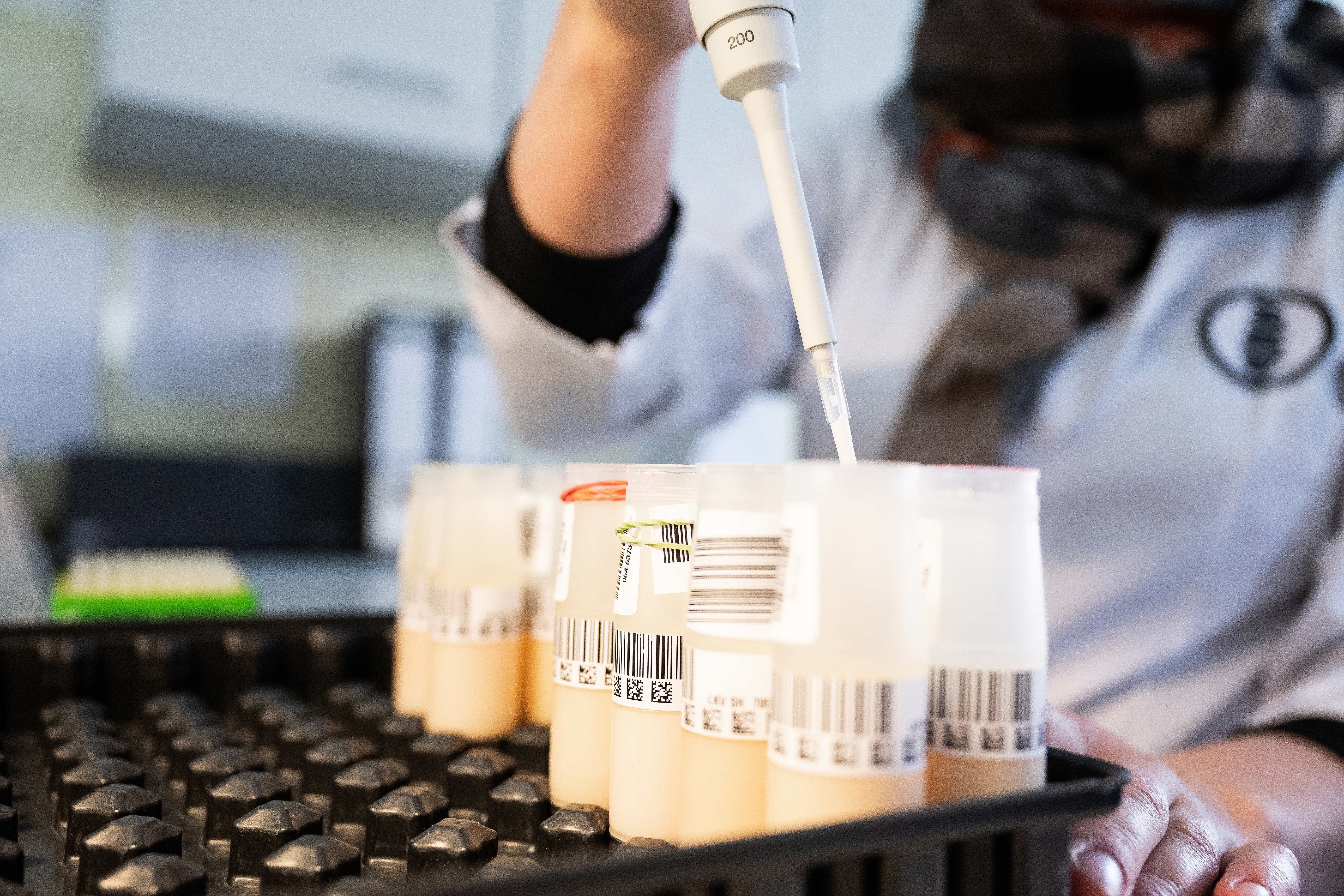 BVD-Milchserologie: Start der Einführungsphase