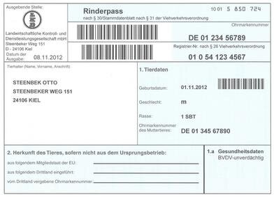 Rinderpass Beispiel