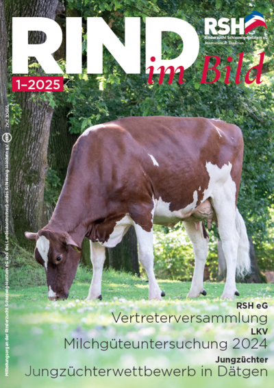 Die aktuelle Rind im Bild (1/2025)